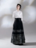 Picture of Traditional Chinese MaMian Skirt with Elegant Design - Horse Face Skirt