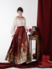 Picture of Traditional Chinese MaMian Skirt with Elegant Design - Horse Face Skirt