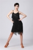 Picture of 1920s Vintage Great Gatsby Fringe V-Neck Flapper Dress