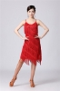 Picture of 1920s Vintage Great Gatsby Fringe V-Neck Flapper Dress