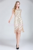 Picture of 1920's Charleston Flapper Dress Beige 