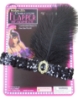 Picture of 1920's Charleston Flapper Headband with Feather