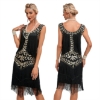 Picture of Roaring Classic 1920s Vintage Great Gatsby Fringe V-Neck Flapper Dress