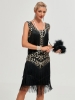 Picture of Roaring Classic 1920s Vintage Great Gatsby Fringe V-Neck Flapper Dress