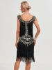 Picture of Roaring Classic 1920s Vintage Great Gatsby Fringe V-Neck Flapper Dress