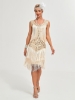 Picture of Roaring Classic 1920s Vintage Great Gatsby Fringe V-Neck Flapper Dress