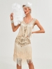 Picture of Roaring Classic 1920s Vintage Great Gatsby Fringe V-Neck Flapper Dress