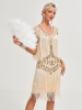 Picture of Roaring Classic 1920s Vintage Great Gatsby Fringe V-Neck Flapper Dress