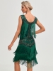 Picture of Roaring Classic 1920s Vintage Great Gatsby Fringe V-Neck Flapper Dress