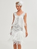 Picture of Roaring Classic 1920s Vintage Great Gatsby Fringe V-Neck Flapper Dress