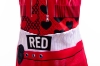 Picture of Girls Descendants Red Costume Dress